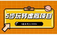 新手小白只需5步,即可玩转虚拟项目,0成本月入10000+【视频课程】