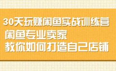 30天玩赚闲鱼实战训练营,闲鱼专业卖家教你如何打造自己店铺