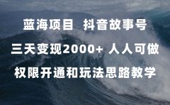 蓝海项目，抖音故事号 3天变现2000+人人可做 (权限开通+玩法教学+238G素材)