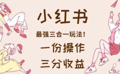 小红书最强三合一玩法,一份操作获得三份收益!【揭秘】