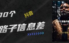 抖音一千个野路子信息差最新玩法教程引流+变现的玩法具体拆解
