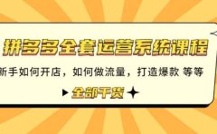 拼多多全套运营系统课程:新手如何开店 如何做流量 打造爆款 等等 全部干货