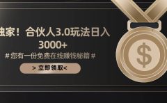 游戏合伙人3.0，日入3000+，无限扩大的蓝海项目