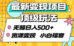 最新变现项目顶级玩法 无脑日入500+ 资源变现 小白福音