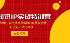 知识IP实战特训营：知识博主如何做好直播间内容获取流量 打造好ip 收心收钱