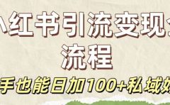 保姆级教程:小红书引流变现全流程,新手也能日加100+私域好友