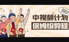 中视频项目，目前靠这个项目养了11人团队【视频课程】