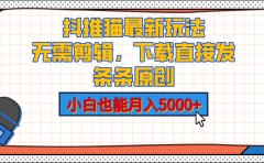 抖推猫最新玩法，小白也能月入5000+，小说推文无需剪辑，直接代发，2分钟直接搞定