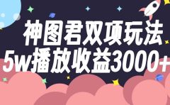 神图君双项玩法5w播放收益3000+