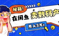 靠在闲鱼卖数码产品日入1000+技巧