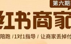 贾真-小红书商家营第6期商家版,21天带货陪跑课,让商家丢掉付流量