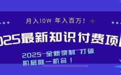 2025最新知识付费项目 实现月入十万，年入百万！