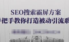 SEO搜索霸屏方案,手把手教你打造被动引流系统【视频课程】
