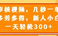 视频审核员，几秒一单，多劳多得，新人小白一天轻松300+