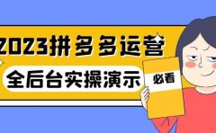 2023拼多多·运营:14节干货实战课,拒绝-口嗨,全后台实操演示