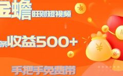 金蟾旺财短视频玩法 一条收益500+ 手把手免费带 当天可上手
