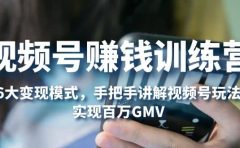 视频号赚钱训练营：6大变现模式，对平台的各项功能详细讲解，实现百万GMV