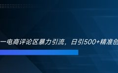 双十一电商评论区暴力引流，日引500+精准创业粉！！！