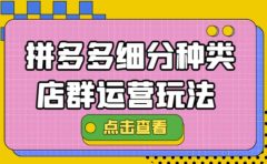 拼多多细分种类店群运营玩法3.0,11月最新玩法,小白也可以操作