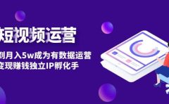 短视频自然流IP第2期