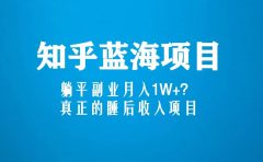 知乎蓝海玩法，真正的睡后收入项目（6节视频课）