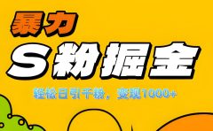 单人单机日引千粉，变现1000+，S粉流量掘金计划攻略！