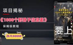 1000个野路子信息差保姆式教程-单日变现3000+的玩法解密