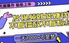 只要发视频就能赚钱?无脑操作,不看播放不看粉丝,小白轻松上手,一天1000+