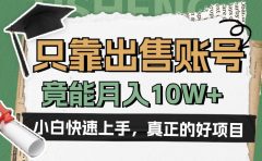 一个不起眼却很暴力的项目,只靠出售账号,竟能月入10W+