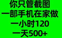 你只管截图，一部手机在家做，一小时120，一天500+