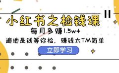 小红书之检钱课:从0开始实测每月多赚1.5w起步,赚钱真的太简单了(98节)