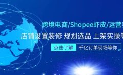 跨境电商/Shopee虾皮/运营实战训练营:店铺设置装修 规划选品 上架实操等等