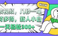 视频审核项目，几秒一单，多劳多得，新人小白一天轻松300+