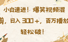 小白速进！爆笑视频混剪，日入 300 +，百万播放轻松破！