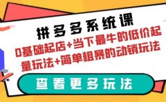 拼多多系统课:0基础起店+当下最牛的低价起量玩法+简单粗暴的动销玩法