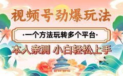 2025年视频号劲爆玩法,一个方法玩转多个平台 小白也能轻松上手