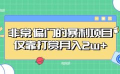 非常偏门的暴利项目
