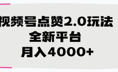 视频号点赞2.0玩法，全新平台， 月入4000+