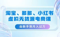 淘宝、多多、小红书-虚拟无货源电商课(3套课程)