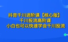 抖音千川进阶课【核心版】 千川投流高阶课 小白也可以快速学会千川投流