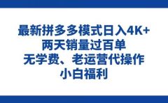 拼多多最新模式日入4K+两天销量过百单，无学费、老运营代操作、小白福利