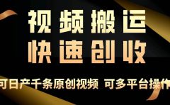 一步一步教你赚大钱!仅视频搬运,月入3万+,轻松上手,打通思维,处处...