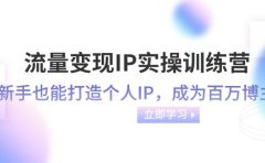 流量变现-IP实操训练营：新手也能打造个人IP，成为百万博主（46节课）