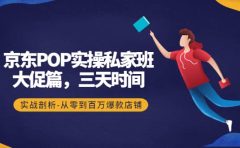 京东POP实操私家班：大促篇，3天时间，实战剖析-从零到百万爆款店铺