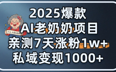 2025爆款 AI 老奶奶项目：亲测 7 天涨粉 1W+，私域变现 1000+