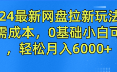 2024最新网盘拉新玩法，无需成本，0基础小白可做，轻松月入6000+
