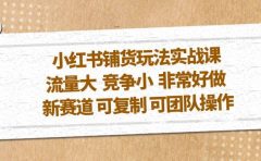 小红书铺货玩法实战课，流量大 竞争小 非常好做 新赛道 可复制 可团队操作