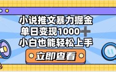 2025年小说推文暴力玩法，单日收益1000+，小白看完即可上手