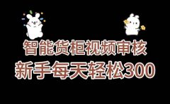 《智能货柜视频审核，几秒一单，多劳多得，新人小白一天轻松 300+，零门槛》