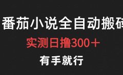 最新番茄小说挂机搬砖，日撸300＋！有手就行，可矩阵放大